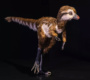 Tiranossauro Rex era pequeno e cheio de penas quando filhote