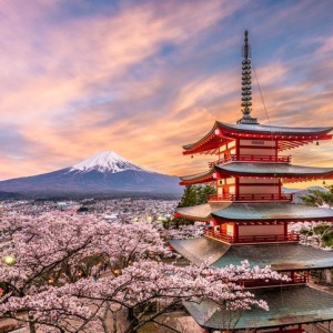Curiosidades do Japão: Fatos Surpreendentes Sobre a Cultura e a Vida Japonesa