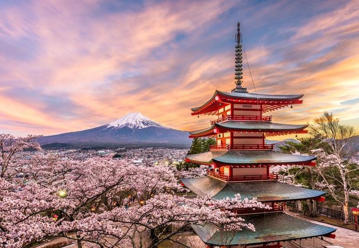 Curiosidades do Japão: Fatos Surpreendentes Sobre a Cultura e a Vida Japonesa