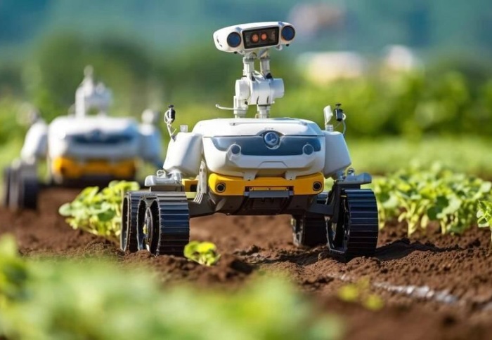 Novos robos estão substituindo funcionários agricolas