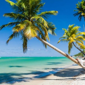 Saiba quais são as mais belas praias do Brasil