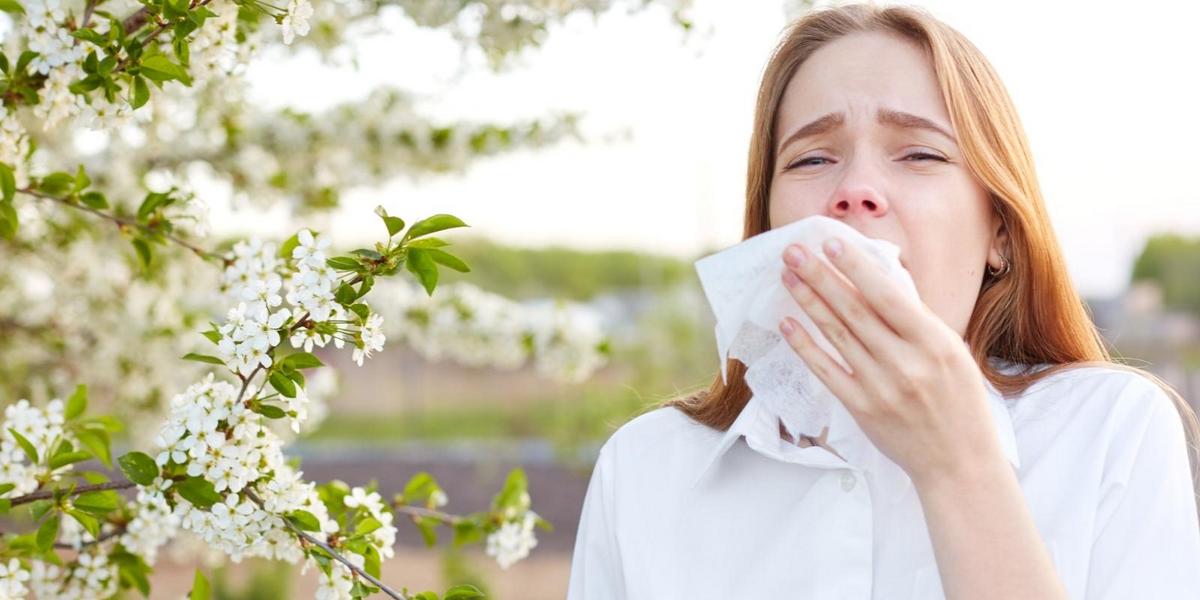 alergia de primavera