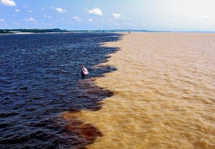 Como a ciência explica o grande mistério do encontro do rio negro e solimões