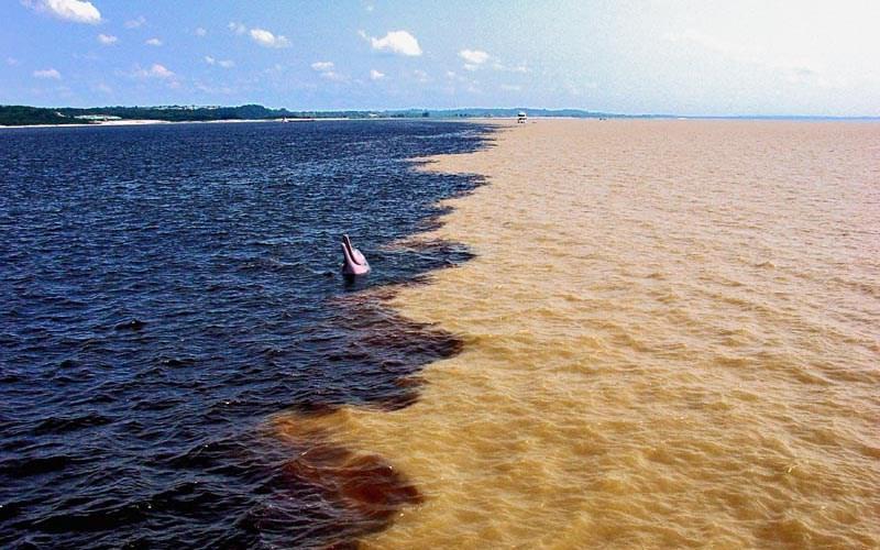 encontro do rio negro e solimões