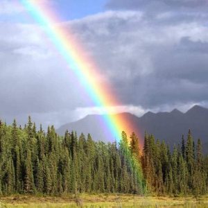 Como o arco-íris se forma no céu e porque desaparece?