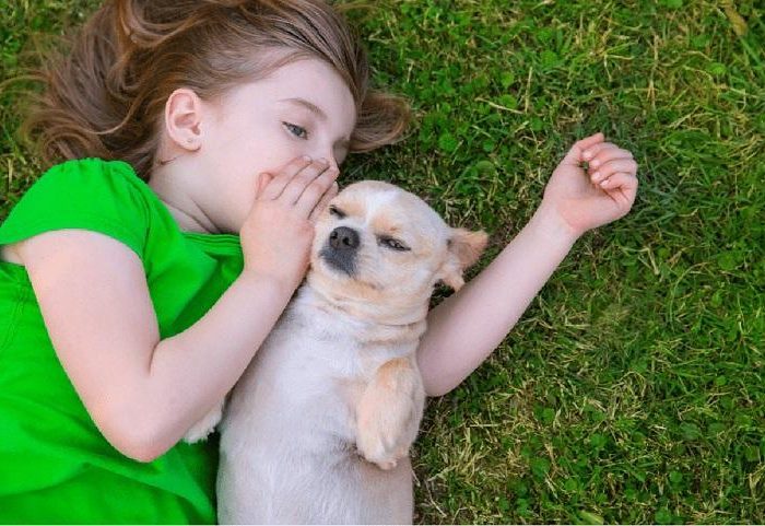 Veja como se expressar melhor em seu diálogo com pet