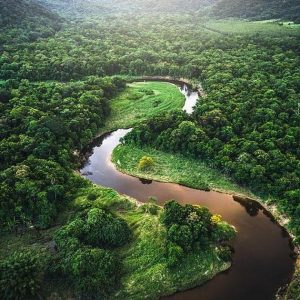 Descubra o que está por detrás dos segredos da amazônia