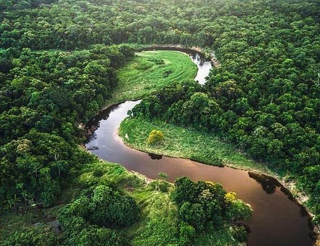 Descubra o que está por detrás dos segredos da amazônia