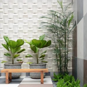 Plantas internas: deixam sua casa com mais vida e aconchegante