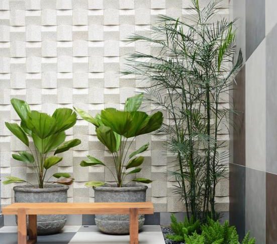 Plantas internas: deixam sua casa com mais vida e aconchegante